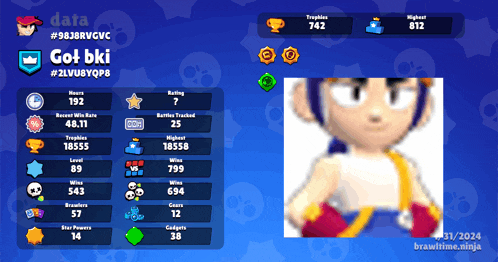 a screenshot of a person 's stats in a video game