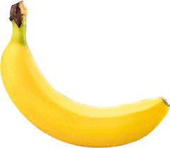 a single yellow banana with a brown stem is on a white background .