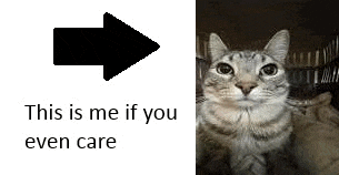 a picture of a cat next to a black arrow that says `` this is me if you even care '' .