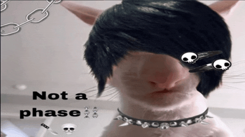 a cat wearing a choker and a wig with the words not a phase on the bottom