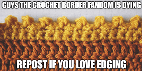 a picture of a crocheted border with the caption " guys the crochet border fandom is dying "