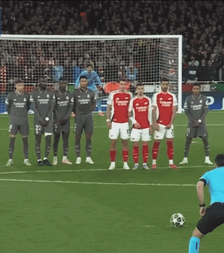 a group of soccer players standing on a field with one wearing a jersey that says fly emirates