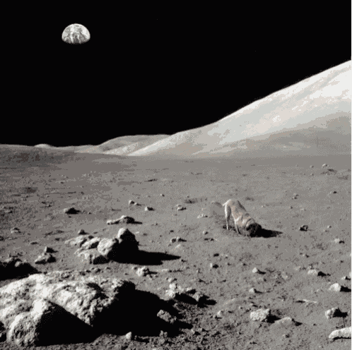 a dog is walking on the moon with the earth in the background