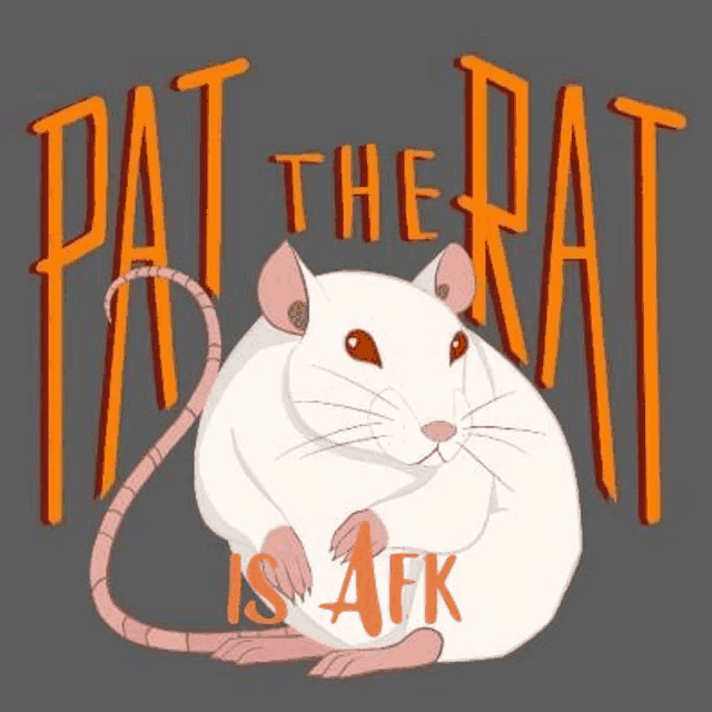 a white rat is sitting on a gray surface with the words `` pat the rat is afk '' written on it .