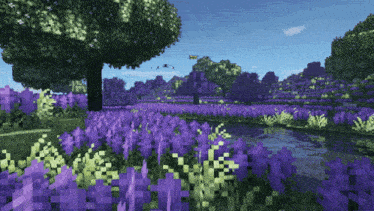 a field of purple flowers with trees and a river in the background