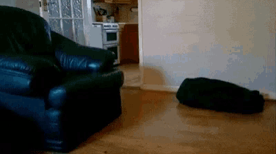 a black leather chair is in a living room next to a black bag