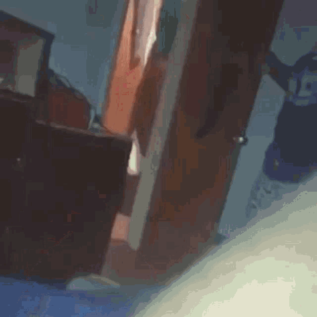 a person is standing in a doorway in a room .