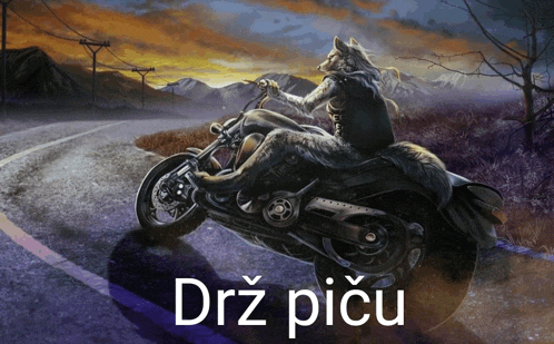 a painting of a wolf riding a motorcycle with the words " drz picu " on the bottom