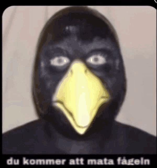 a person wearing a crow mask with a yellow beak and a caption that says `` du kommer att mata fageln '' .