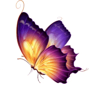 a colorful butterfly with purple and yellow wings is flying on a white background .