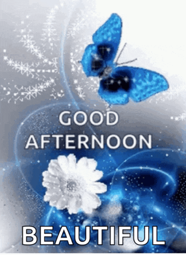 a picture of a blue butterfly with the words good afternoon beautiful below it