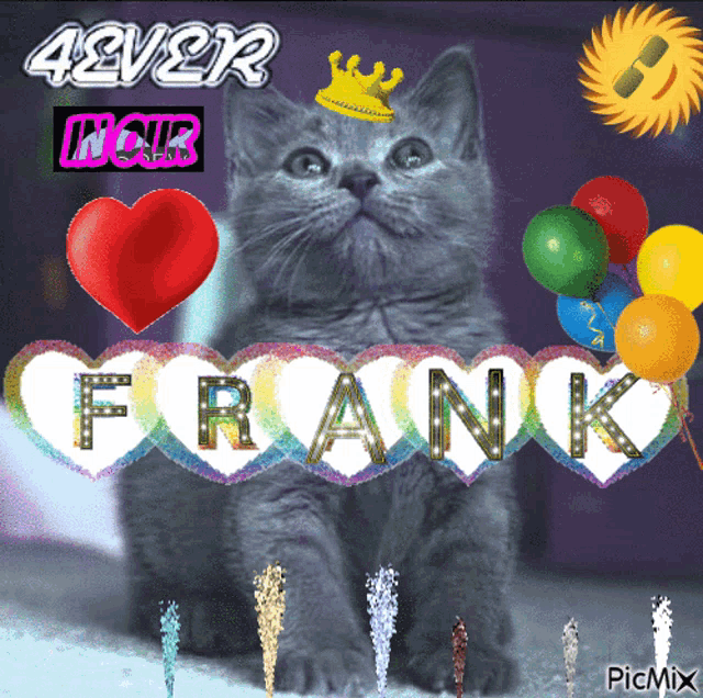 a cat with a crown on its head is surrounded by balloons and the name frank