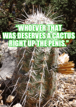 a picture of a cactus with a quote that says " whoever that was deserves a cactus right up the penis "