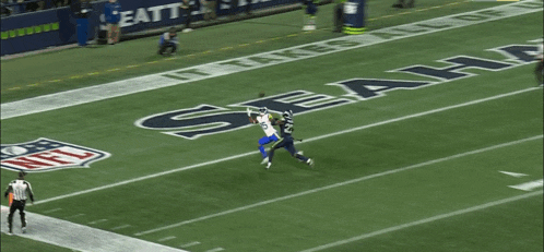 a seahawks player catches a pass during a game