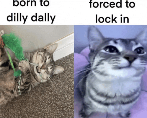 a picture of a cat next to a picture of a cat that says born to dilly dally forced to lock in