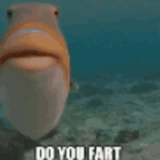 a fish is swimming in the ocean with the words `` do you fart '' written on it .