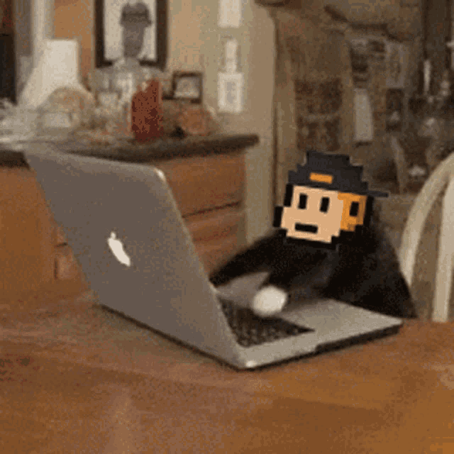 a monkey wearing a hat is sitting in front of a laptop
