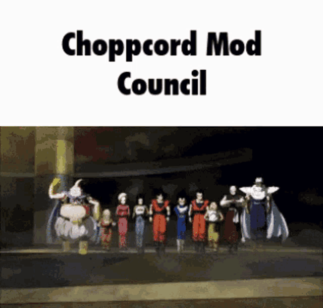 a group of cartoon characters are standing in a line with the words chopcord mod council above them