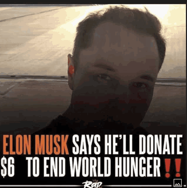 elon musk says that he 'll donate $ 6 to end world hunger