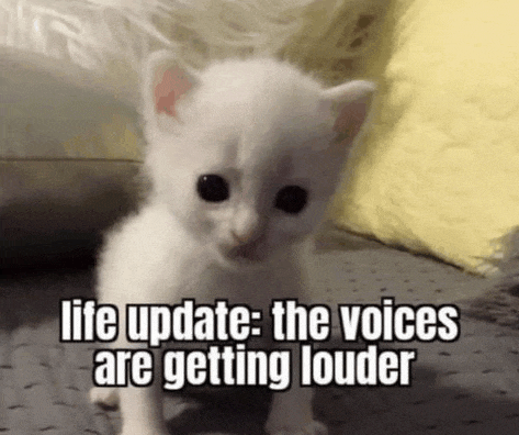 a small white kitten is sitting on a bed with the words `` life update : the voices are getting louder ''