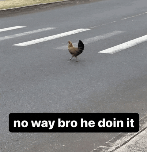 a picture of a chicken crossing a road with a caption that says no way bro he doin it