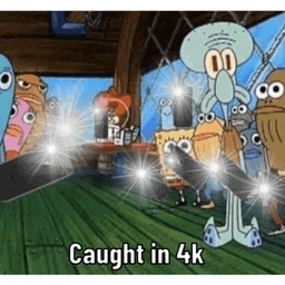 spongebob and squidward from spongebob squarepants are caught in 4k .