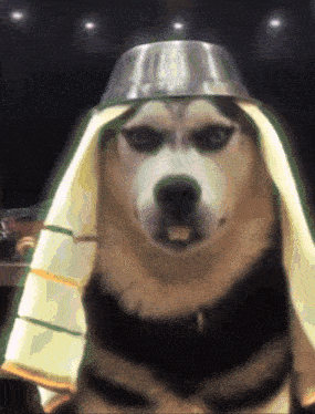 a dog wearing a towel and a metal bowl on its head