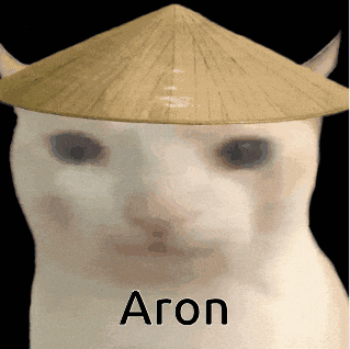 a white cat wearing a conical hat with the word aron written below it