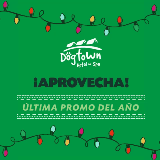 a green background with christmas lights and the words dog town hotel spa