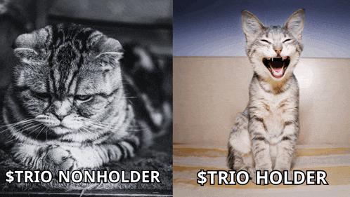 a black and white photo of a cat next to a picture of a cat with its mouth open that says $ trio holder