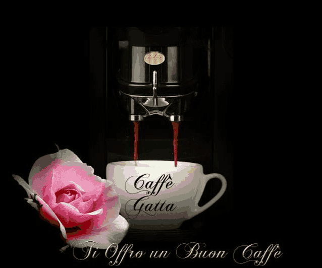 a cup of coffee with the words caffe gatta written on it