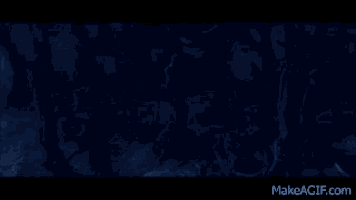 a close up of a tree trunk in a dark forest