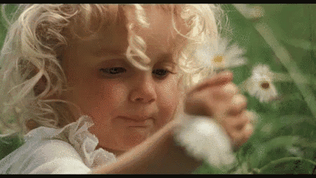 a little girl with curly blonde hair is holding a daisy in her hands .