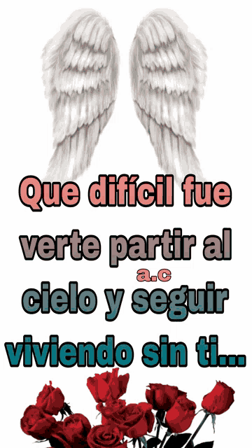 a poster with angel wings and red roses says que dificil fue verte partir al cielo y seguir viviendo sin ti