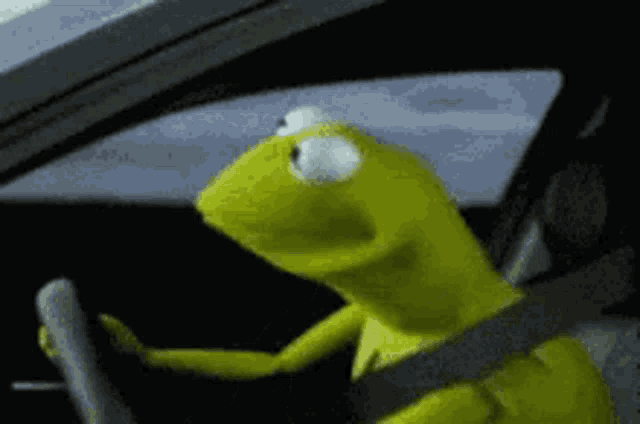 a kermit the frog is driving a car and looking out the window .