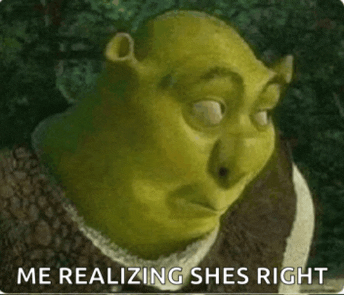 shrek is making a funny face and says `` me realizing shes right '' .