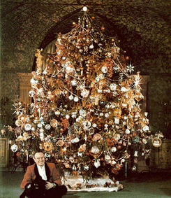 a man sits in front of a christmas tree