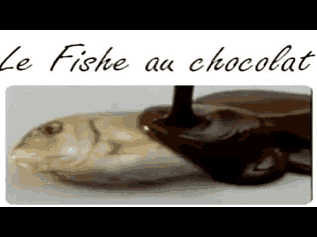 a picture of a fish being covered in chocolate with the words le fishe au chocolat below it