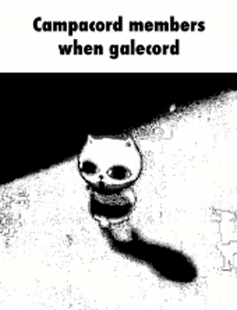 a black and white drawing of a cat walking on the ground with the caption `` campacord members when galecord '' .