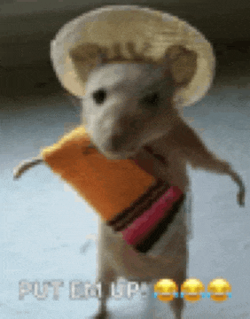 a mouse is wearing a sombrero and holding a crayon and a book .