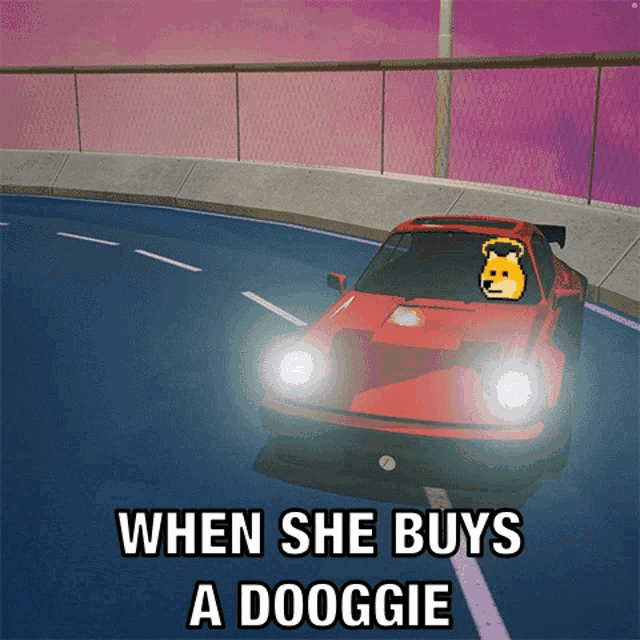 a red car with a dog on the windshield and the words when she buys a doggie on the bottom