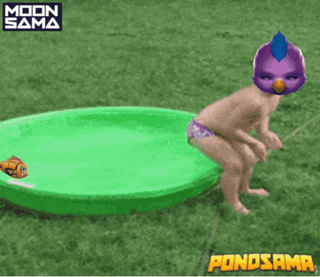 a child in a purple mask is jumping into a green pool with a fish in it ..