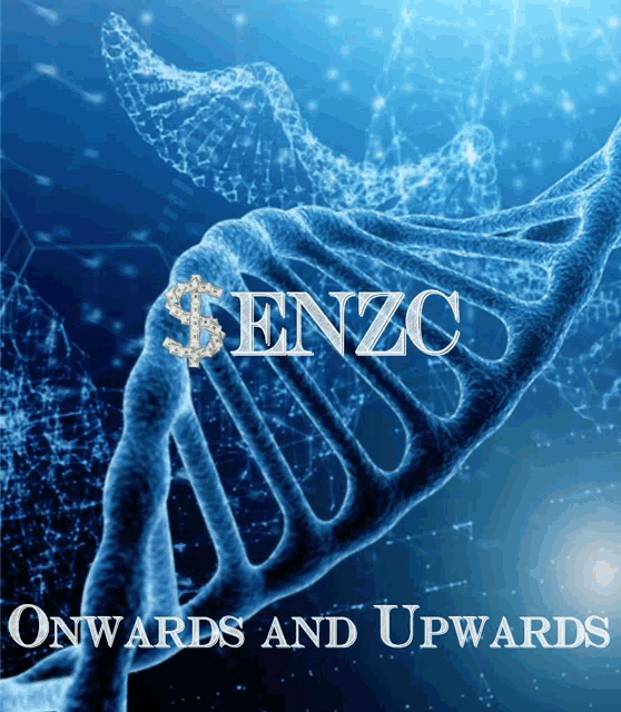 an ad for enzo onwards and upwards shows a dna strand with a dollar sign on it