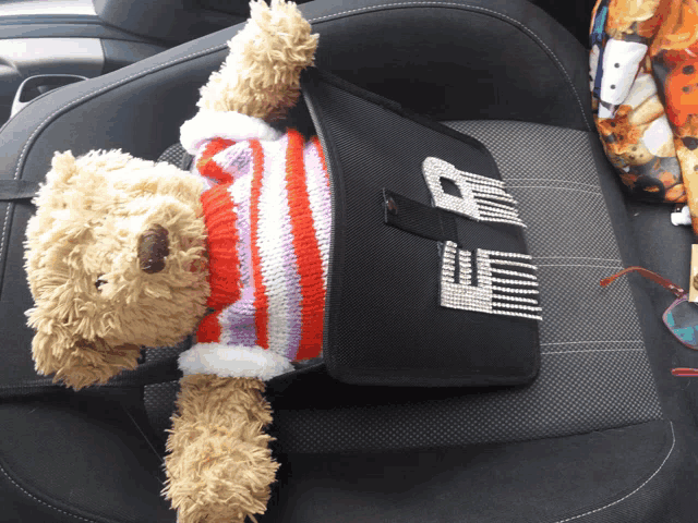 a teddy bear wearing a striped sweater is sitting on a car seat next to a purse that says ed