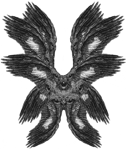 a black and white drawing of a bird with wings spread out