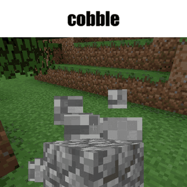 a screenshot of a video game with the word cobble at the top