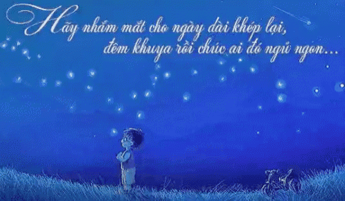 a boy is standing in a field looking up at the night sky .