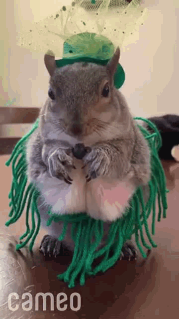 a squirrel wearing a green hat and a green wig is sitting on a wooden table with the word cameo below it