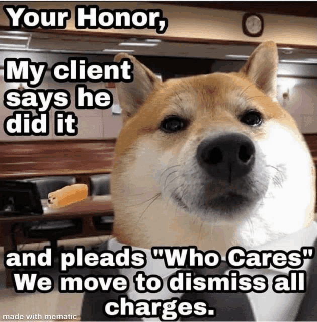 a dog wearing a suit and tie says " your honor "