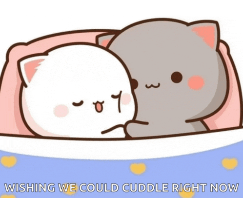 two cartoon cats laying next to each other with the words wishing we could cuddle right now below them